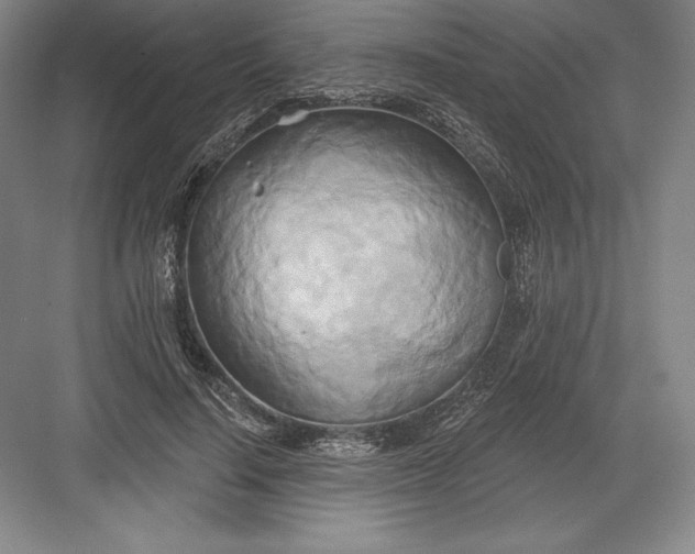 X0000082960644200702152307