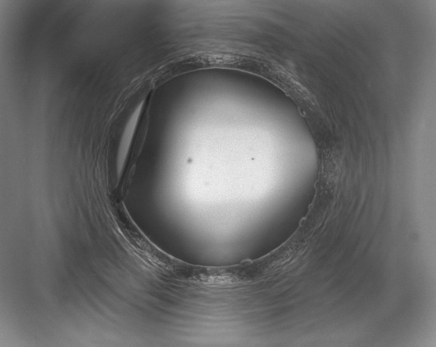 X0000082960645200702152307