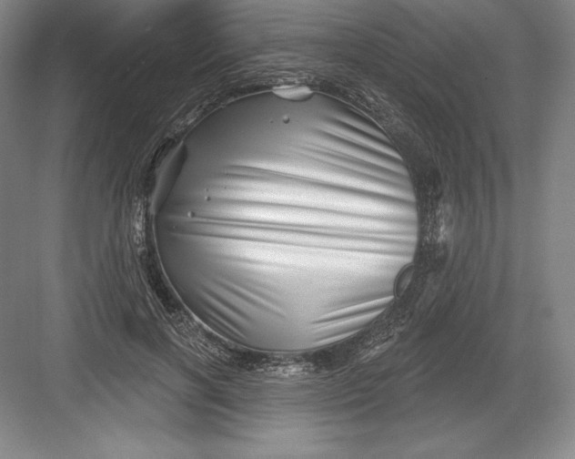 X0000082960646200702152307