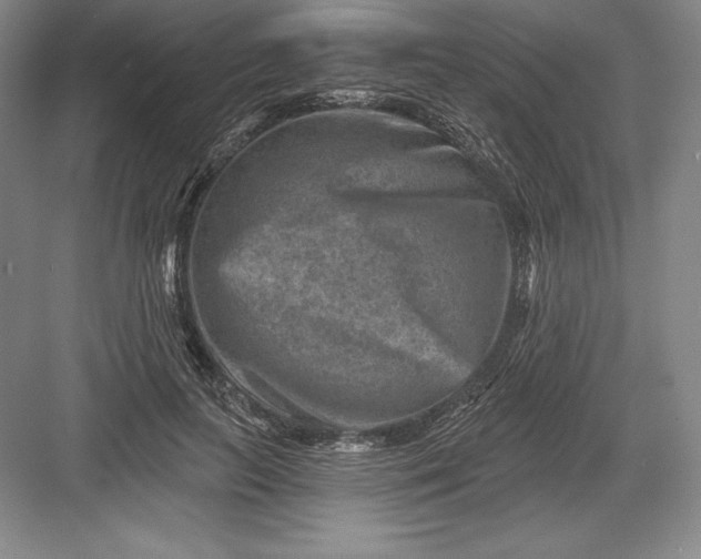 X0000082960647200702152307