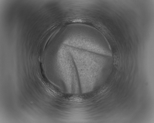 X0000082960648200702152307