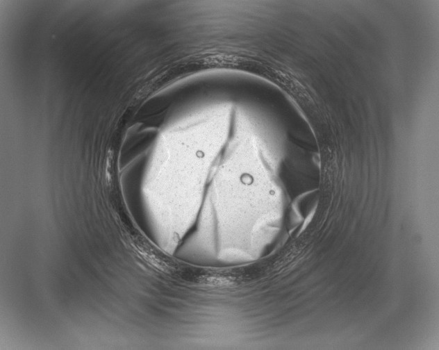 X0000082960649200702152307