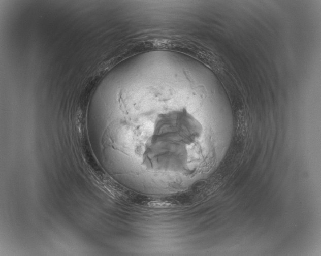 X0000082960650200702152307