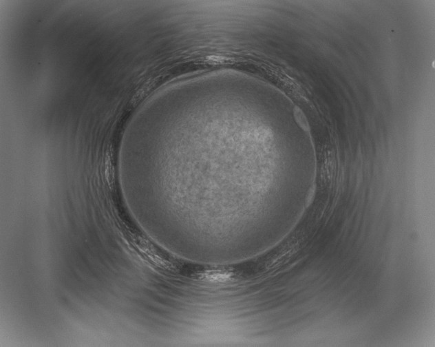 X0000082960651200702152307