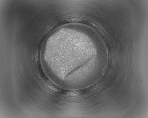 X0000082960652200702152307