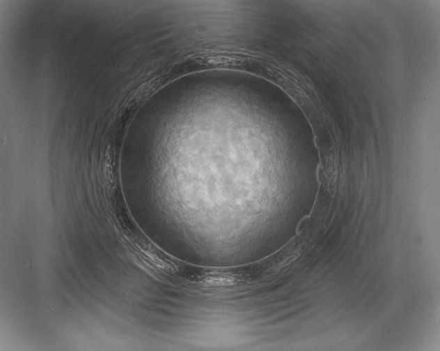 X0000082960653200702152307