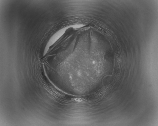 X0000082960654200702152307