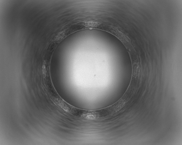 X0000082960655200702152307