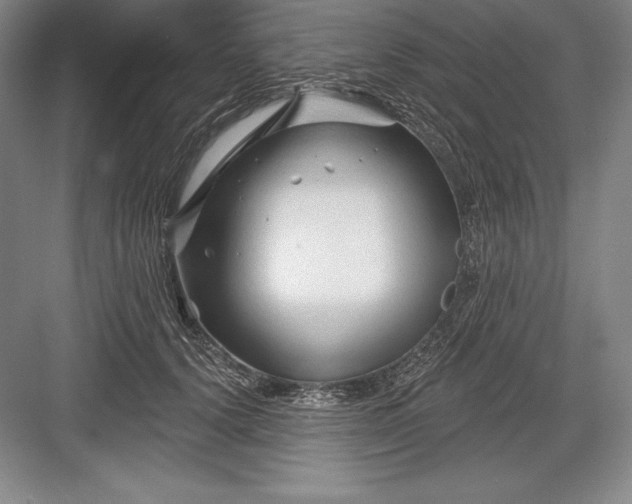 X0000082960656200702152307