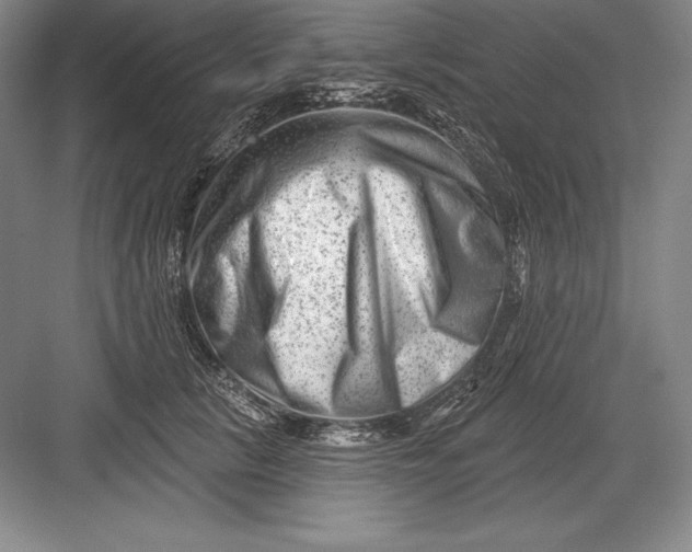 X0000082960657200702152307