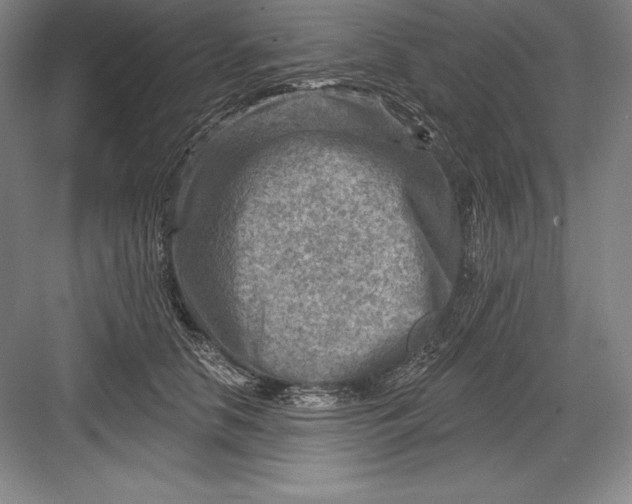 X0000082960658200702152307