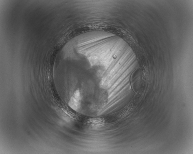 X0000082960659200702152307