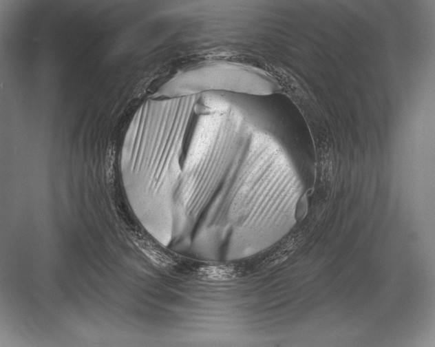 X0000082960660200702152307