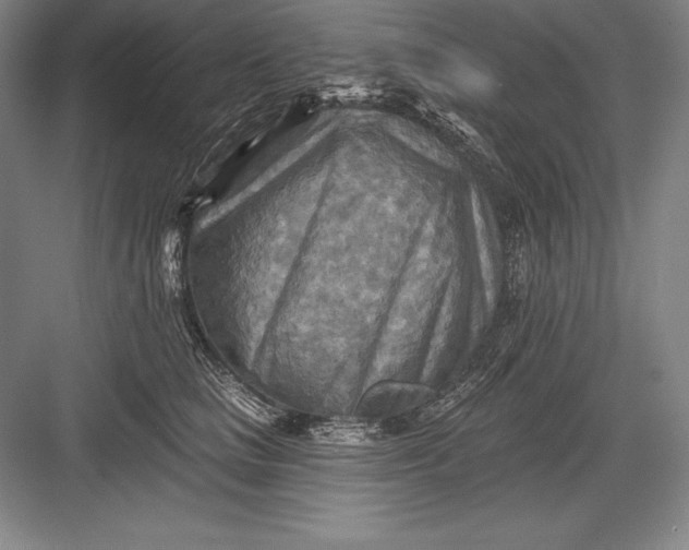 X0000082960661200702152307