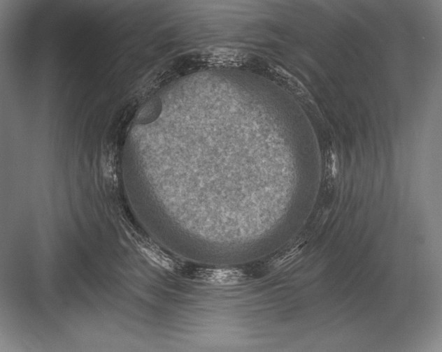 X0000082960663200702152307