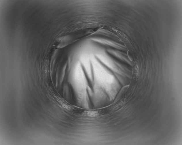 X0000082960665200702152307