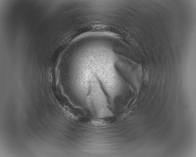 X0000082960666200702152307