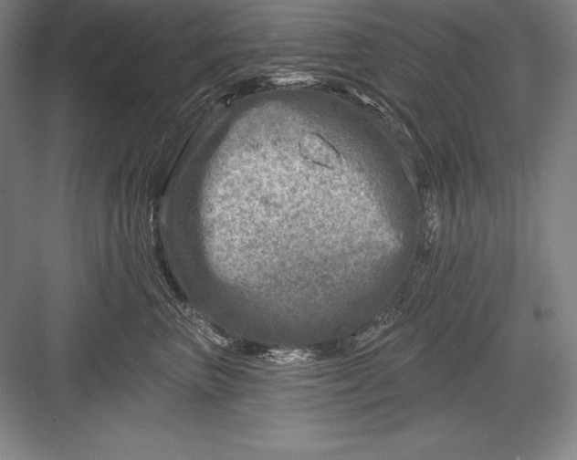 X0000082960667200702152307