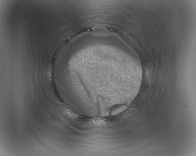 X0000082960668200702152307