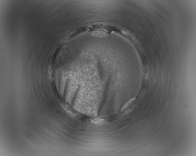 X0000082960669200702152307