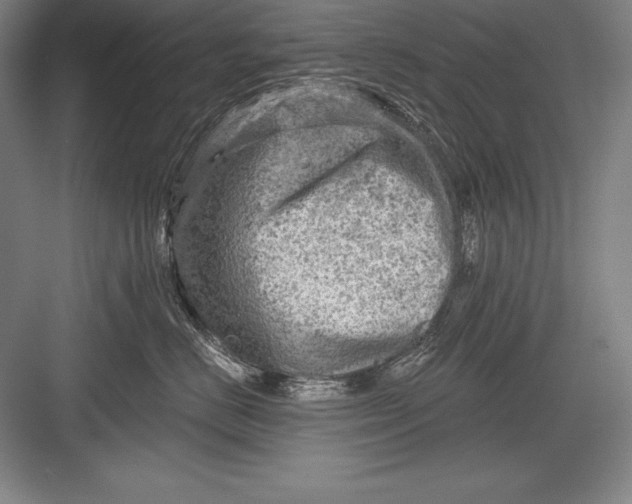 X0000082960670200702152307