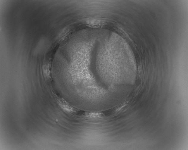 X0000082960671200702152307