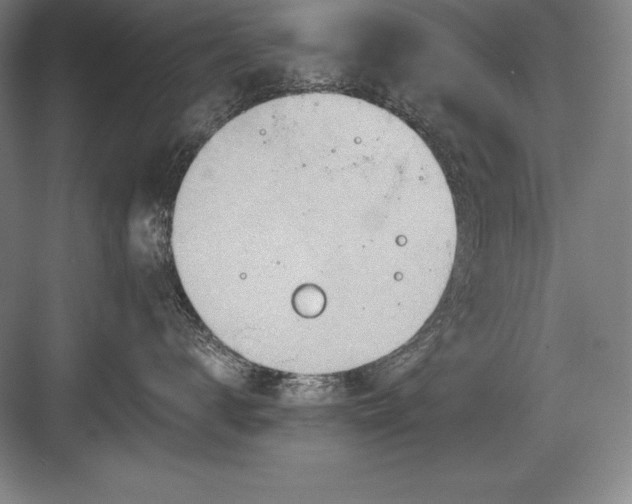 X0000082960672200702152307