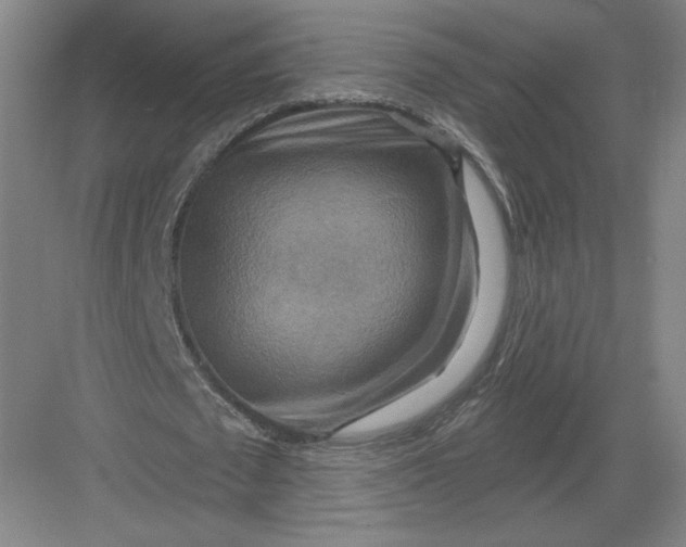 X0000082960673200702152307