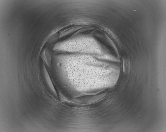 X0000082960675200702152306