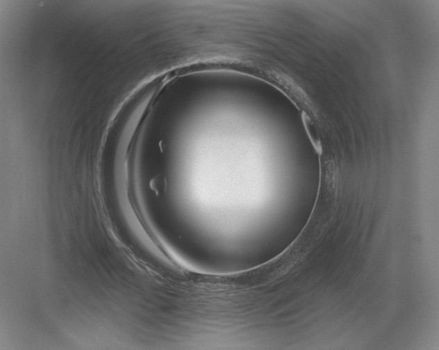 X0000082960676200702152306