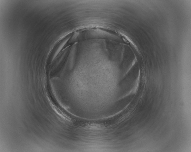 X0000082960677200702152306