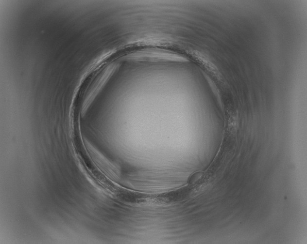 X0000082960678200702152306