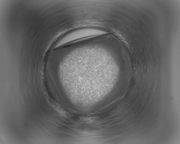 X0000082960679200702152306