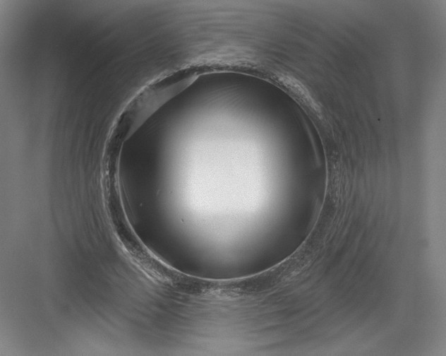 X0000082960680200702152306