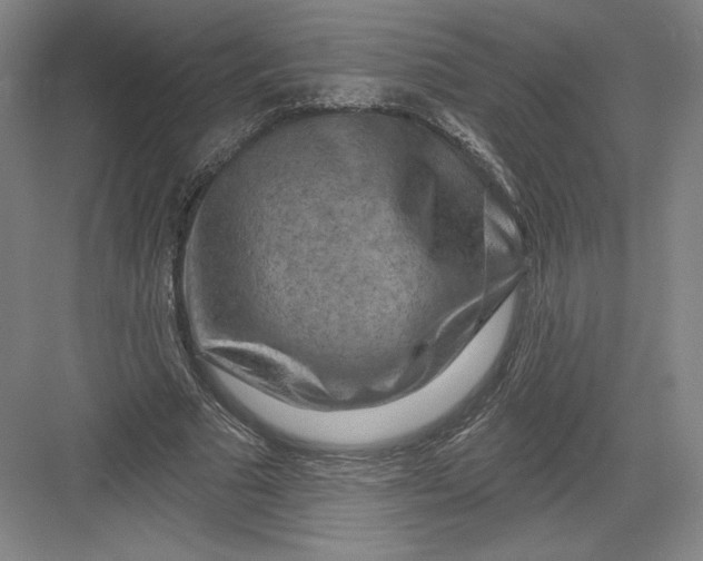 X0000082960681200702152306