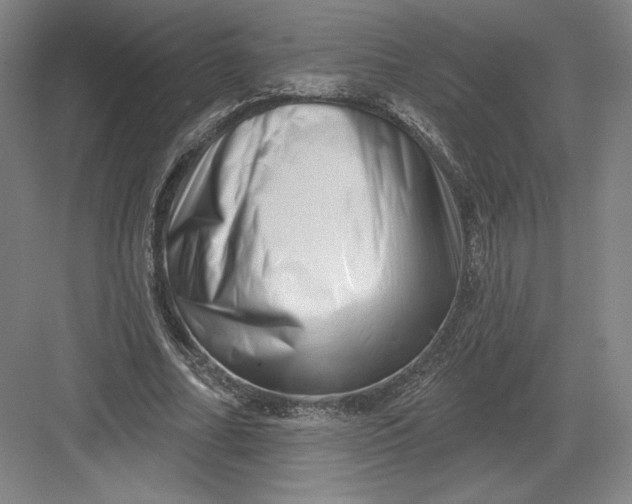 X0000082960682200702152306