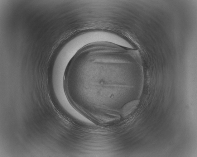 X0000082960685200702152306