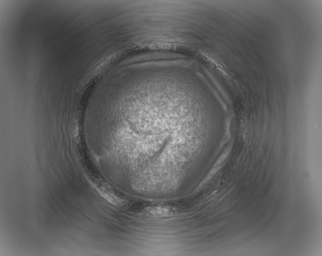 X0000082960687200702152306