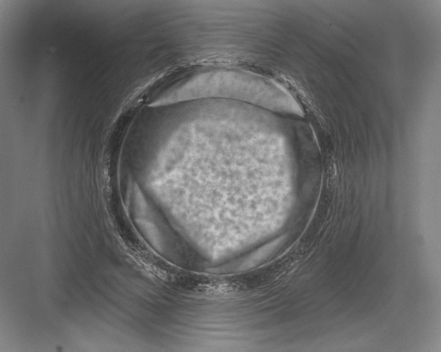 X0000082960688200702152306