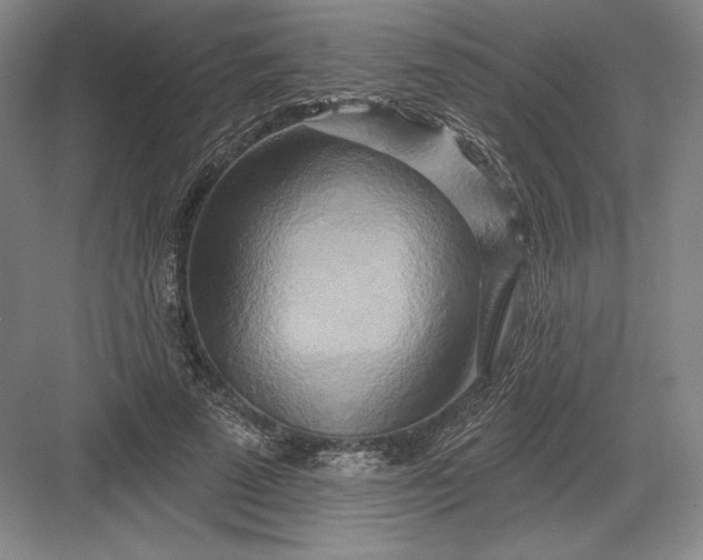 X0000082960689200702152306