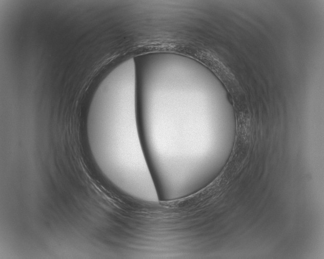 X0000082960692200702152306