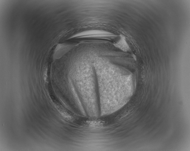 X0000082960693200702152306