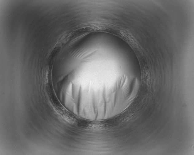 X0000082960694200702152306