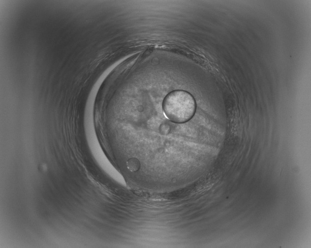 X0000082960695200702152306