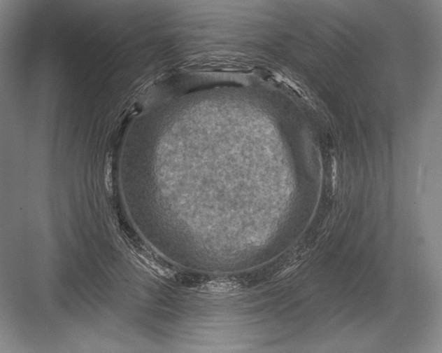 X0000082960696200702152306