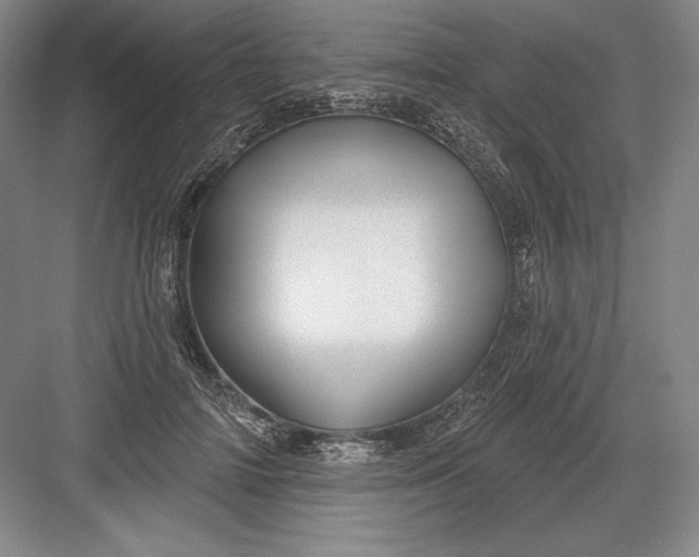 X0000082960698200702152306