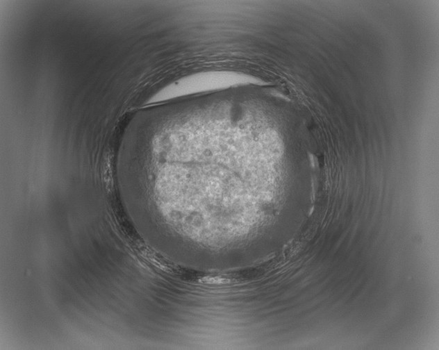 X0000082960699200702152306