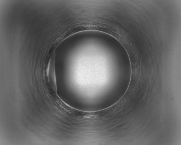 X0000082960700200702152306