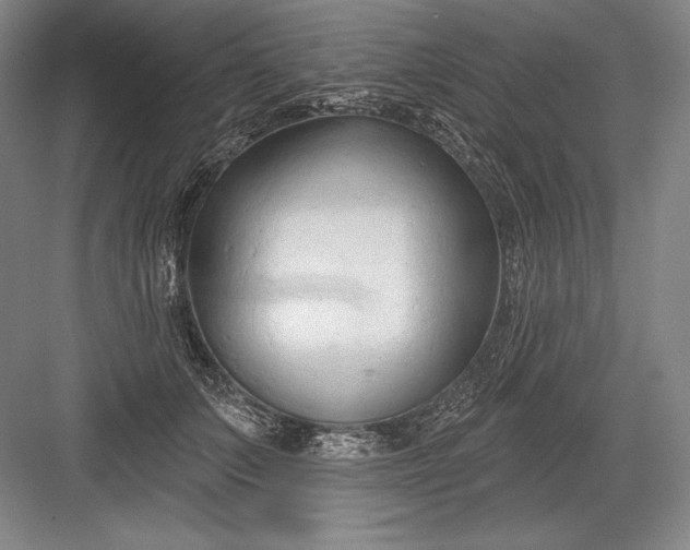 X0000082960703200702152306