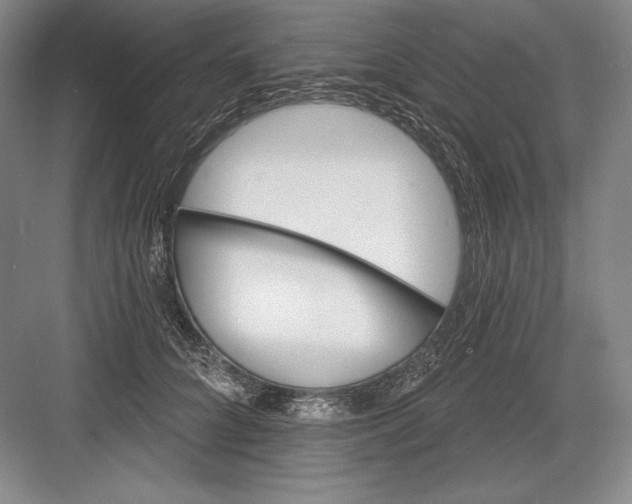 X0000082960704200702152306